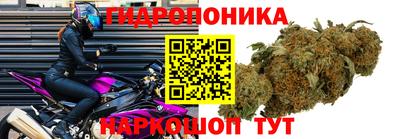 СК Комсомольск-на-Амуре