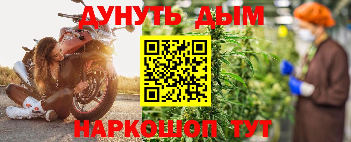 Конопля сатива Когалым